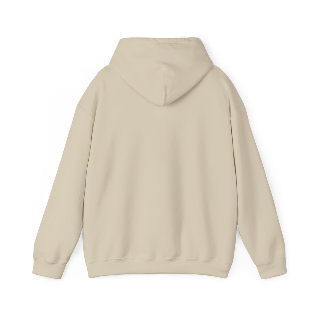 I Don't Give a Flock Flamingo Hoodie