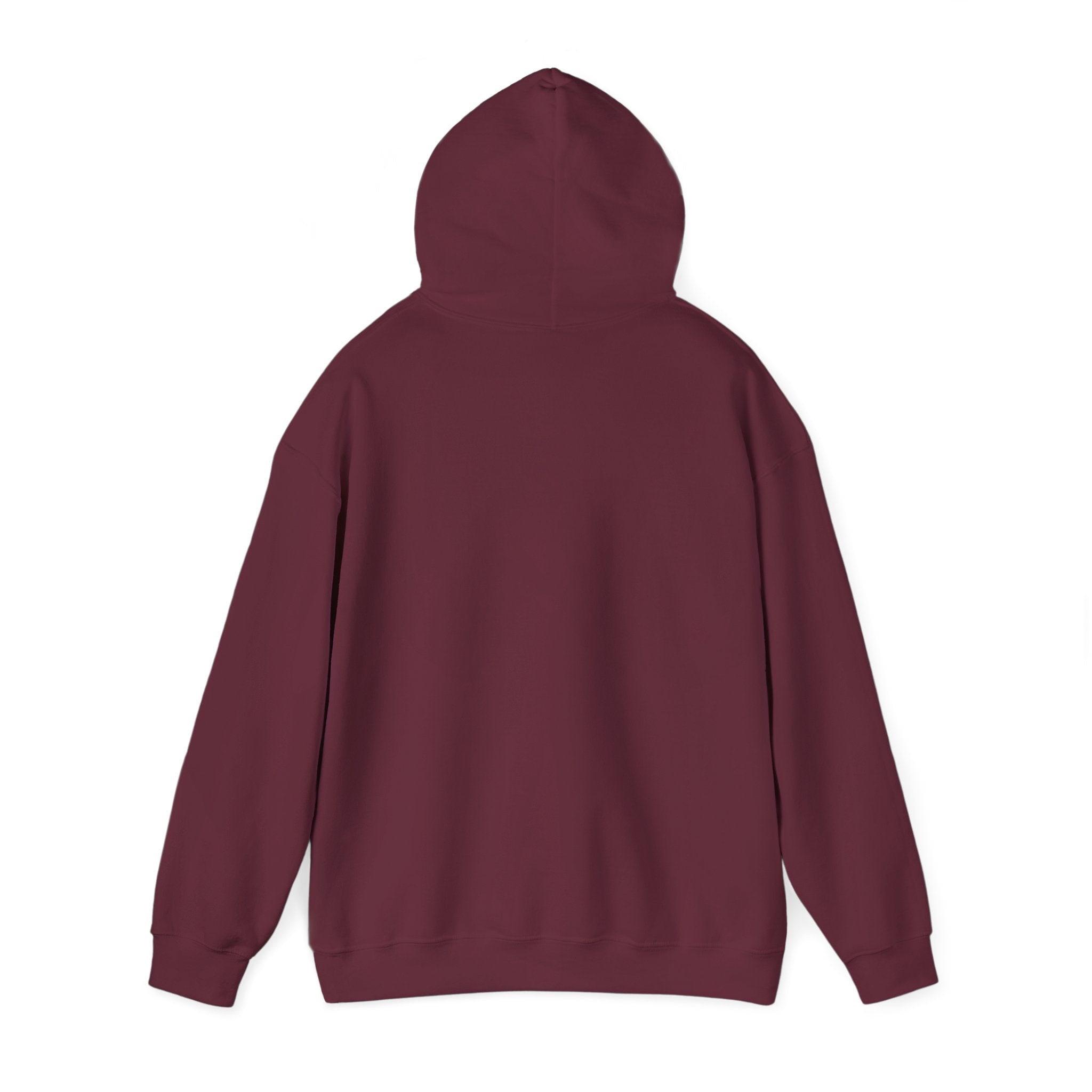 I Don't Give a Flock Flamingo Hoodie