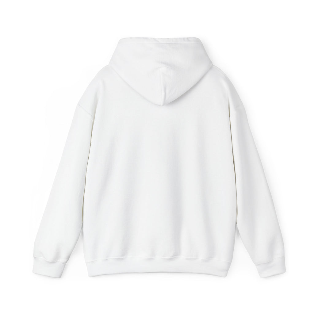 I Don't Give a Flock Flamingo Hoodie