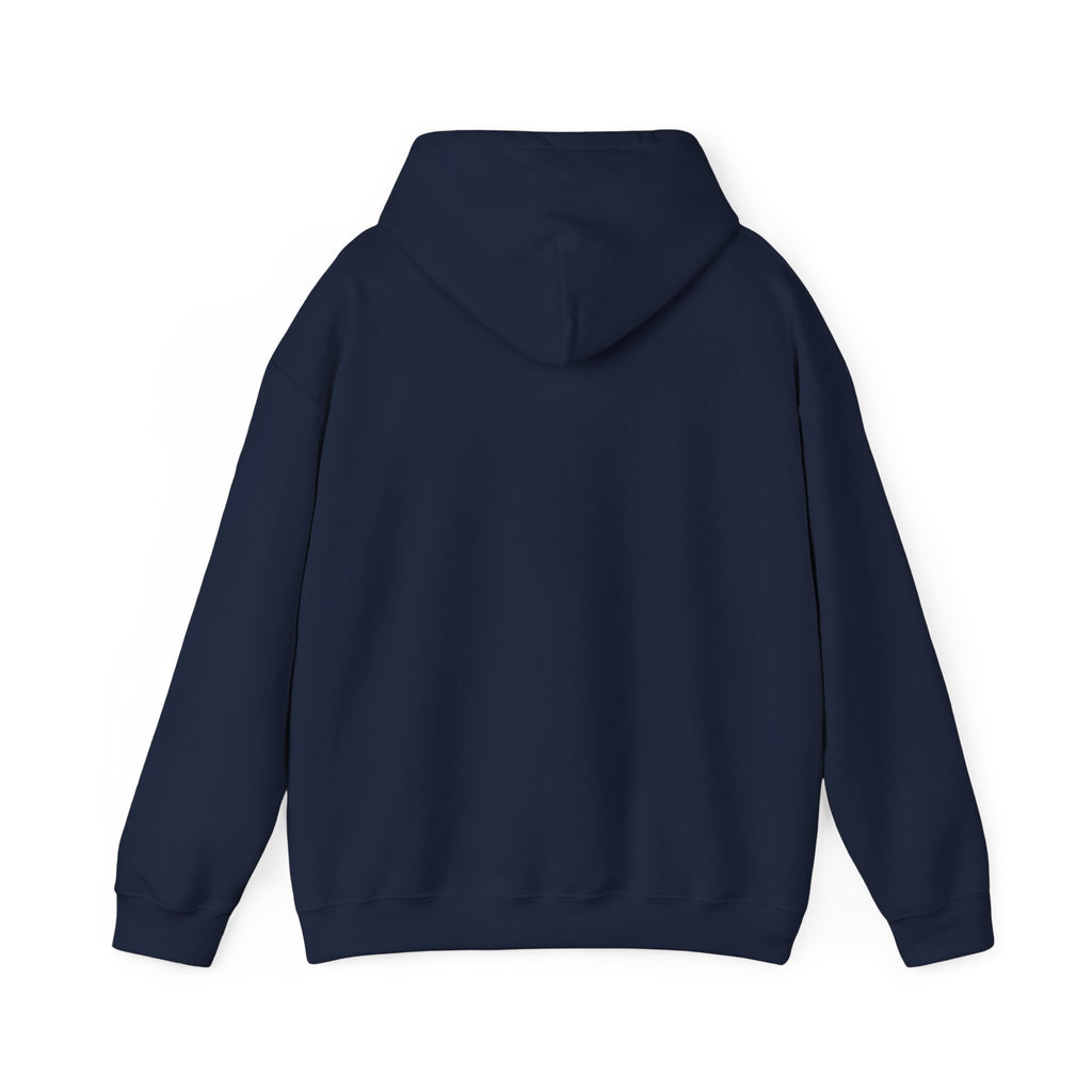 I Don't Give a Flock Flamingo Hoodie