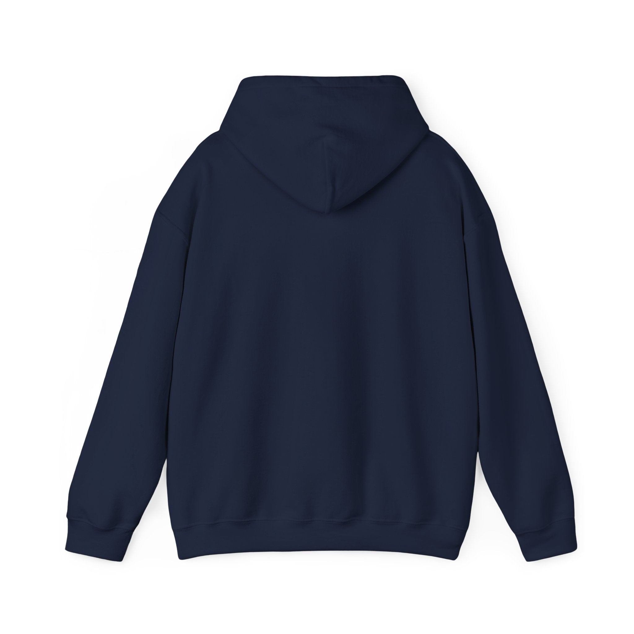 I Don't Give a Flock Flamingo Hoodie