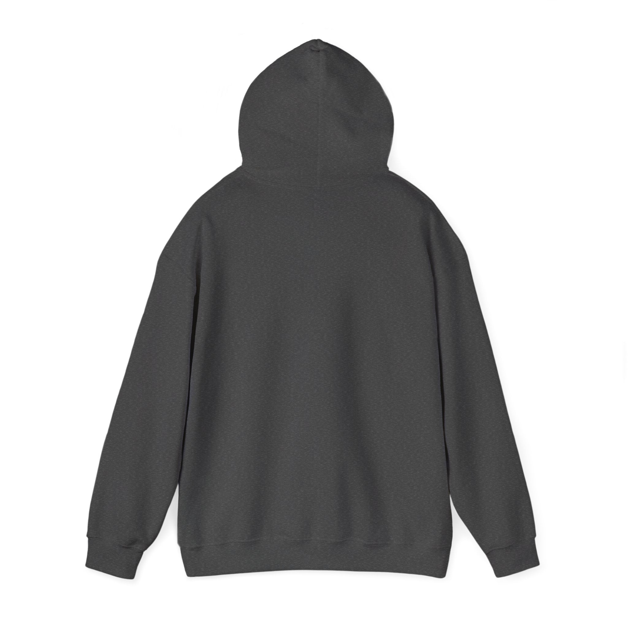 I Don't Give a Flock Flamingo Hoodie