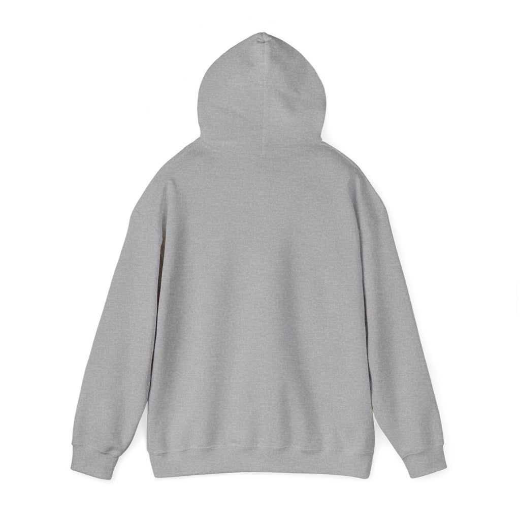I Don't Give a Flock Flamingo Hoodie