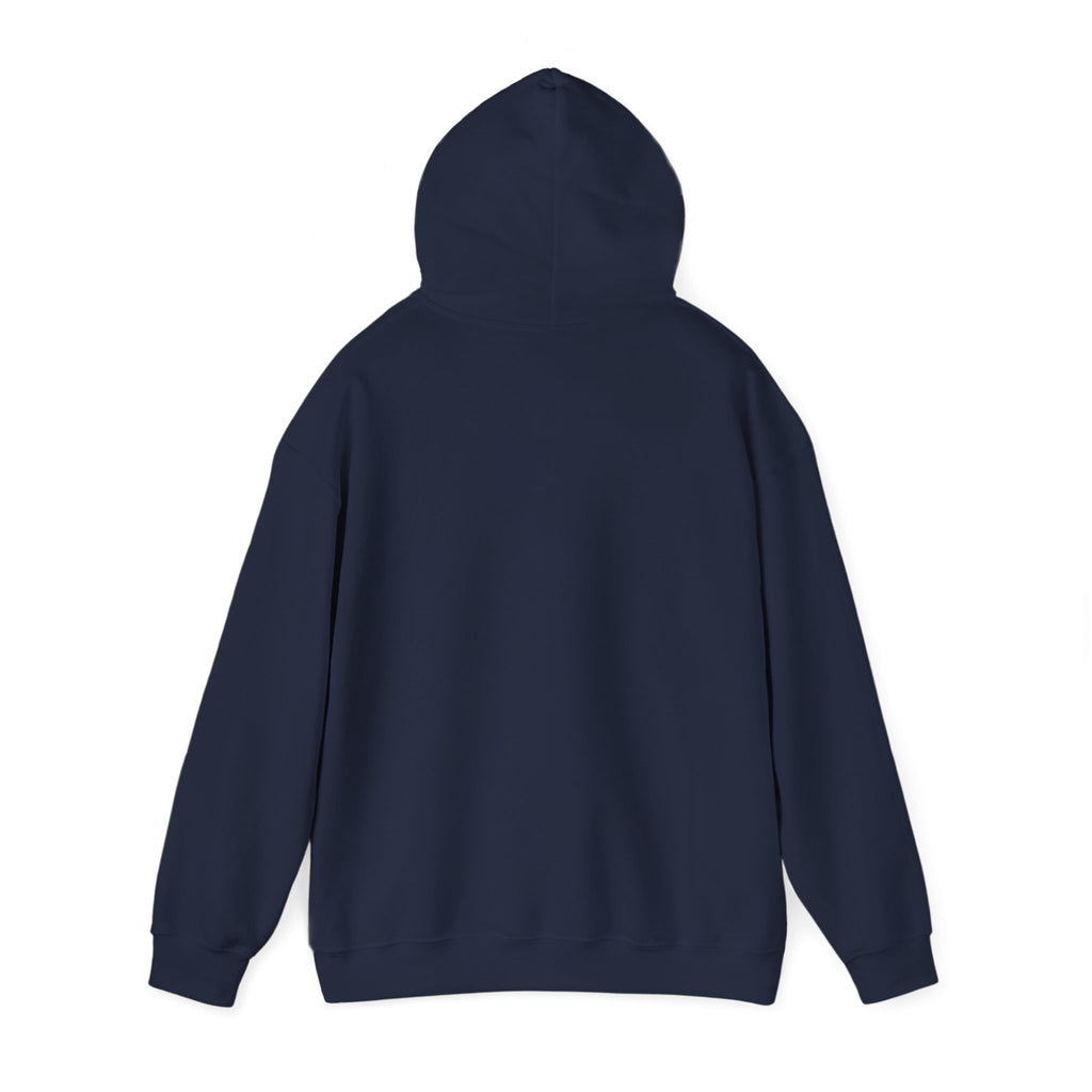 I Don't Give a Flock Flamingo Hoodie