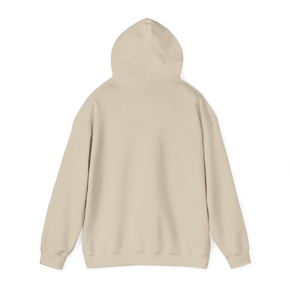 I Don't Give a Flock Flamingo Hoodie