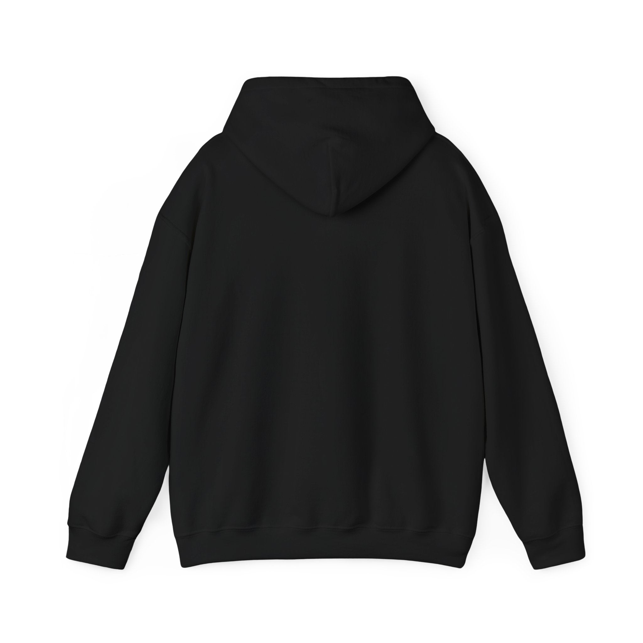 I Don't Give a Flock Flamingo Hoodie