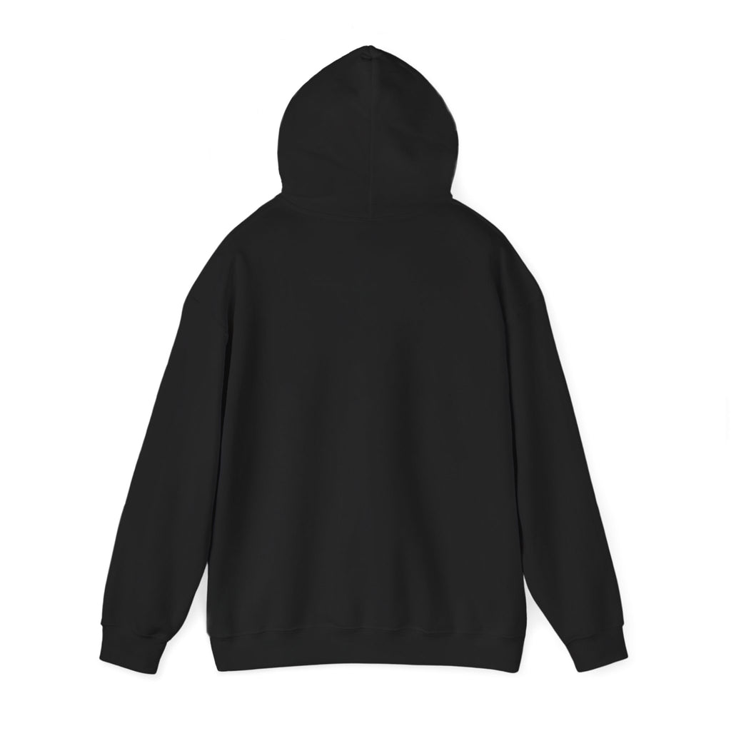 I Don't Give a Flock Flamingo Hoodie